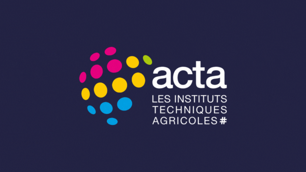 ACTA